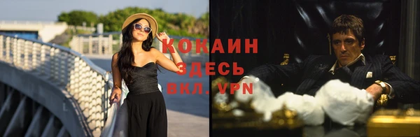 молекула духа Алзамай