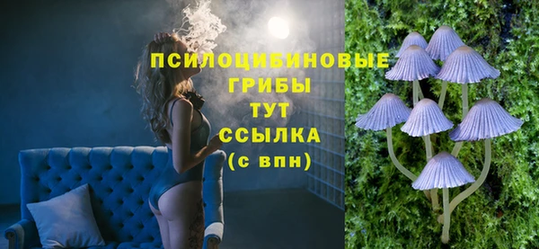 молекула духа Алзамай