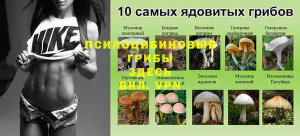 молекула духа Алзамай
