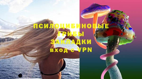 молекула духа Алзамай